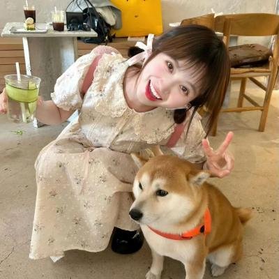 茶啊二中第一季